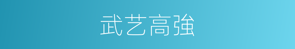 武艺高強的同義詞