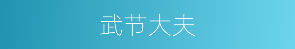 武节大夫的同义词