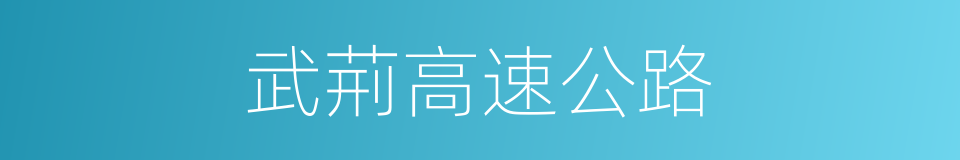 武荊高速公路的同義詞