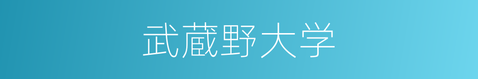 武蔵野大学的同义词