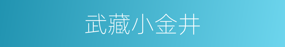 武藏小金井的同义词