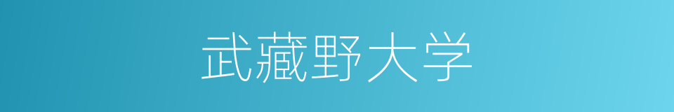 武藏野大学的同义词