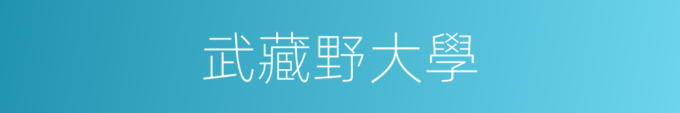 武藏野大學的同義詞