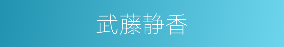 武藤静香的同义词