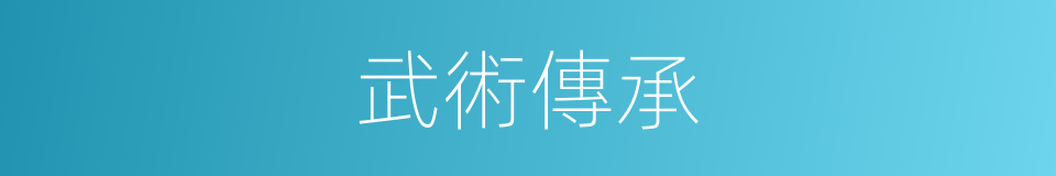 武術傳承的同義詞