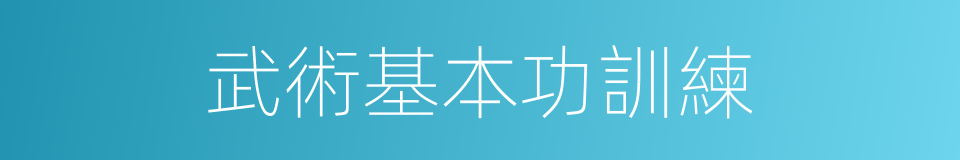 武術基本功訓練的同義詞