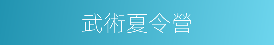 武術夏令營的同義詞