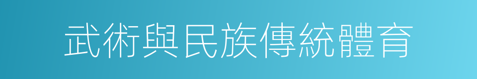 武術與民族傳統體育的同義詞