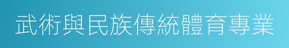 武術與民族傳統體育專業的同義詞