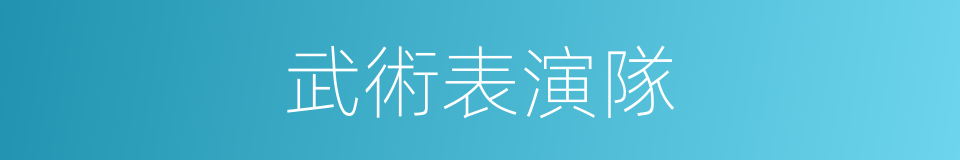 武術表演隊的同義詞