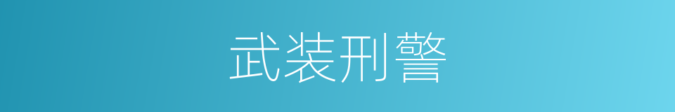 武装刑警的同义词