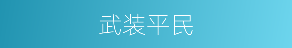 武装平民的同义词