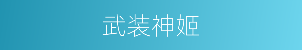 武装神姬的同义词