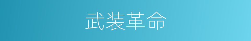 武装革命的同义词