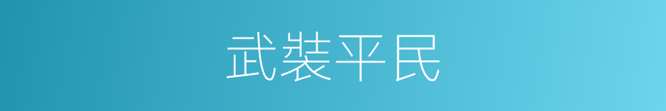 武裝平民的同義詞