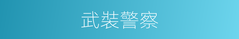 武裝警察的意思