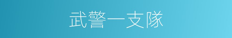 武警一支隊的同義詞