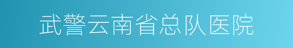 武警云南省总队医院的同义词