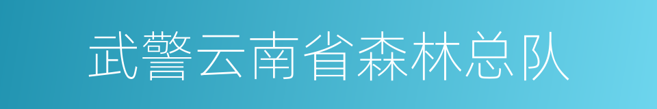 武警云南省森林总队的同义词