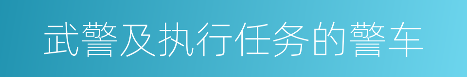 武警及执行任务的警车的同义词