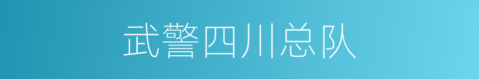 武警四川总队的同义词