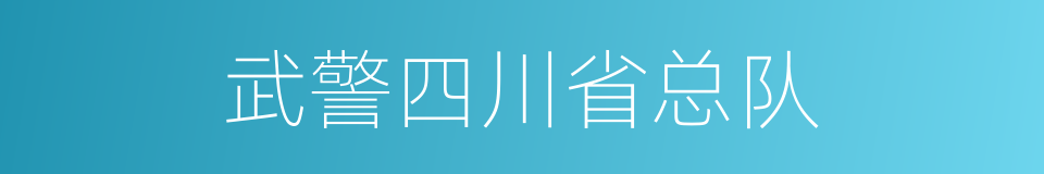 武警四川省总队的同义词