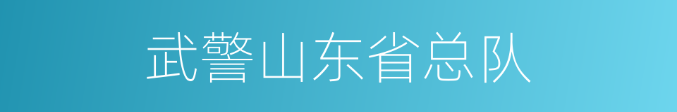 武警山东省总队的同义词