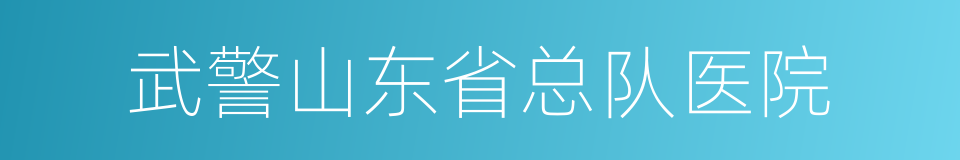 武警山东省总队医院的同义词