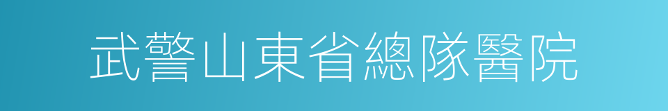武警山東省總隊醫院的同義詞
