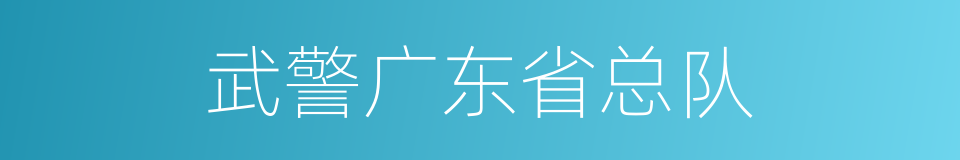 武警广东省总队的同义词