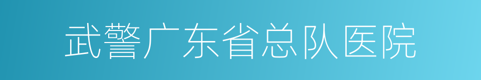 武警广东省总队医院的同义词