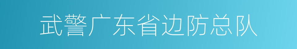 武警广东省边防总队的同义词