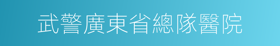 武警廣東省總隊醫院的同義詞