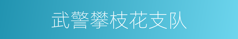 武警攀枝花支队的同义词