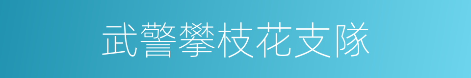 武警攀枝花支隊的同義詞