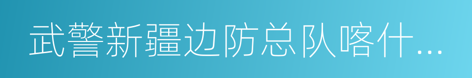 武警新疆边防总队喀什边防支队的同义词