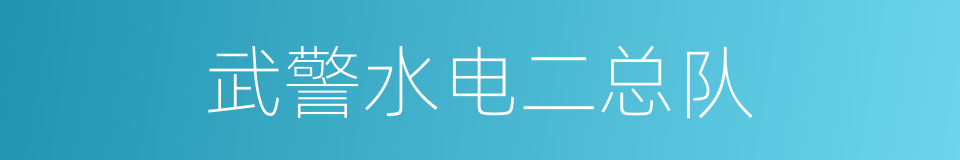武警水电二总队的同义词