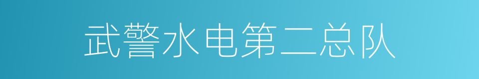 武警水电第二总队的同义词