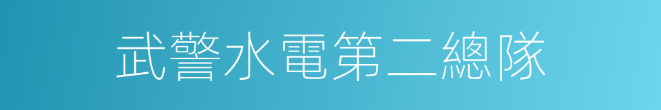 武警水電第二總隊的同義詞