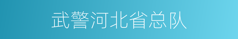 武警河北省总队的同义词