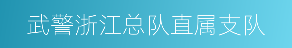 武警浙江总队直属支队的同义词