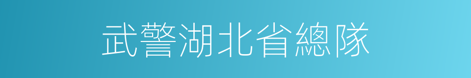 武警湖北省總隊的同義詞