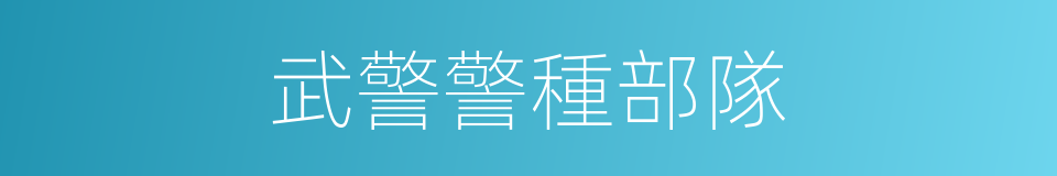 武警警種部隊的同義詞