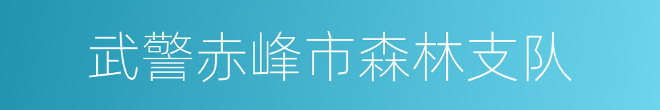 武警赤峰市森林支队的同义词