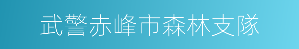 武警赤峰市森林支隊的同義詞