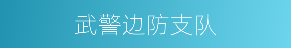 武警边防支队的同义词