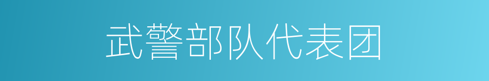 武警部队代表团的同义词