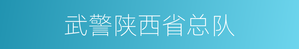 武警陕西省总队的同义词