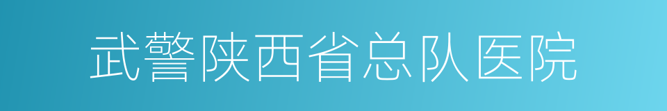 武警陕西省总队医院的同义词