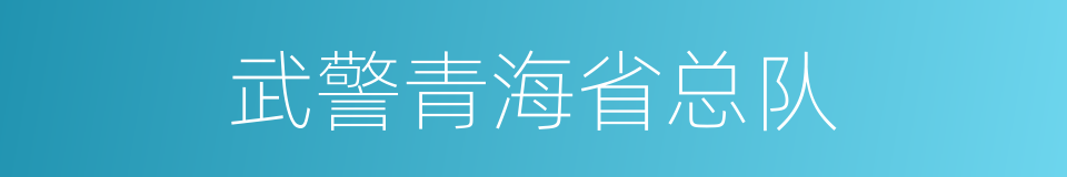 武警青海省总队的同义词